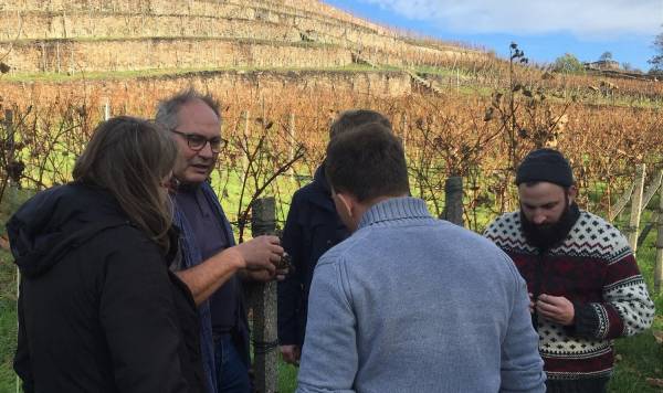 Das EXPRESS-Team im Gespräch mit Walter Beck vom Weingut Schloss Proschwitz, eines der Experimentierfelder in EXPRESS