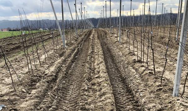 Trockenheit und Wasserstress stellen den Pflanzenbau vor neue Herausforderungen