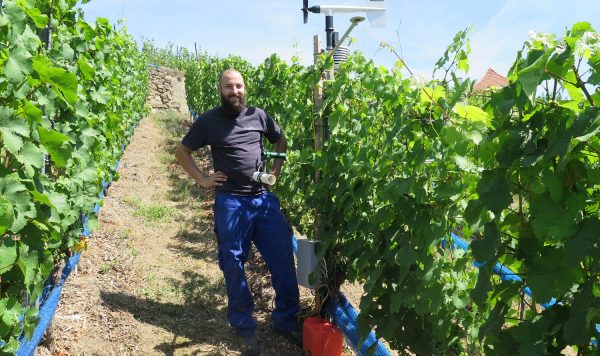 Moderne Sensortechnik, wie hier am Steilhang in Seußlitz, ermöglicht neue Vorgehensweisen gegen Trockenstress