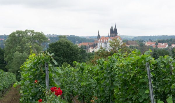 Blick auf die Meißener Albrechtsburg in Meißen