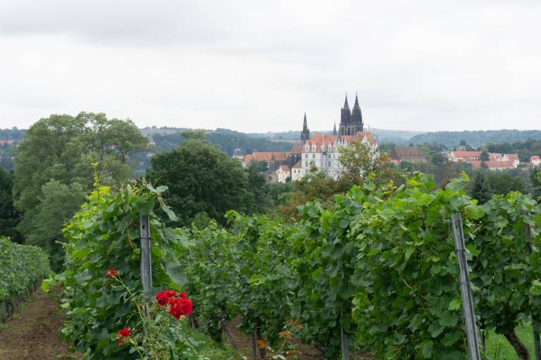 Blick auf die Meißener Albrechtsburg in Meißen