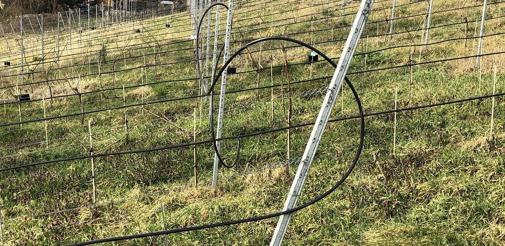 Schwerpunkt Wasserstress: Bewässerungsanlage im Weinbau